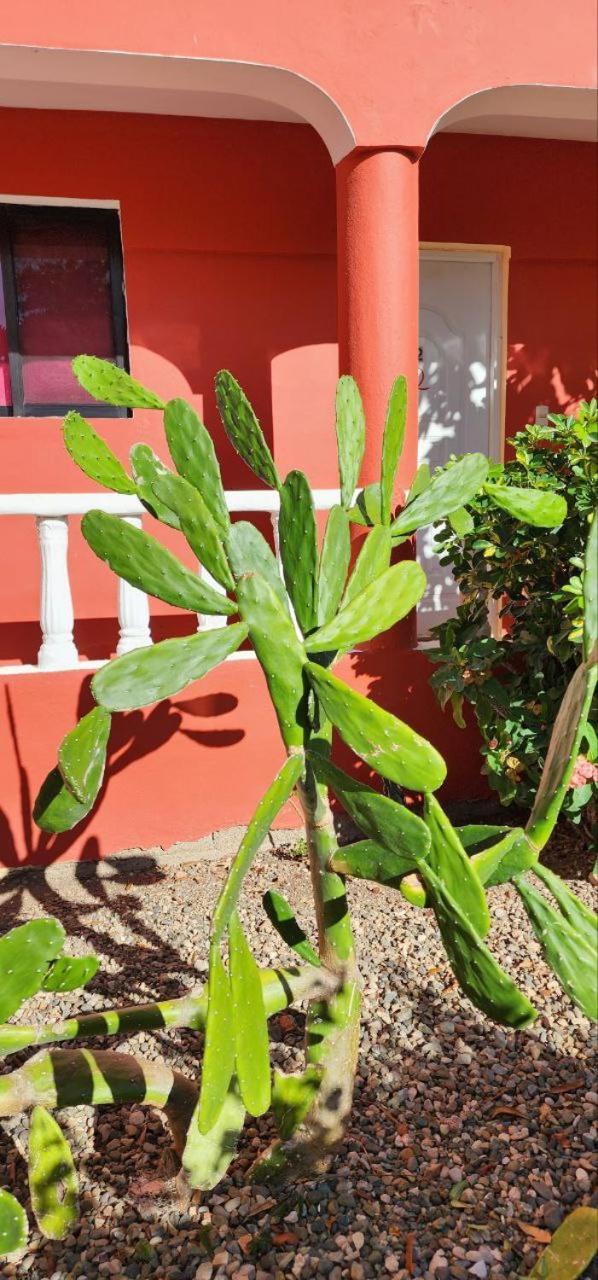 Villa Kiki Ensenada Punta Rucia Dış mekan fotoğraf