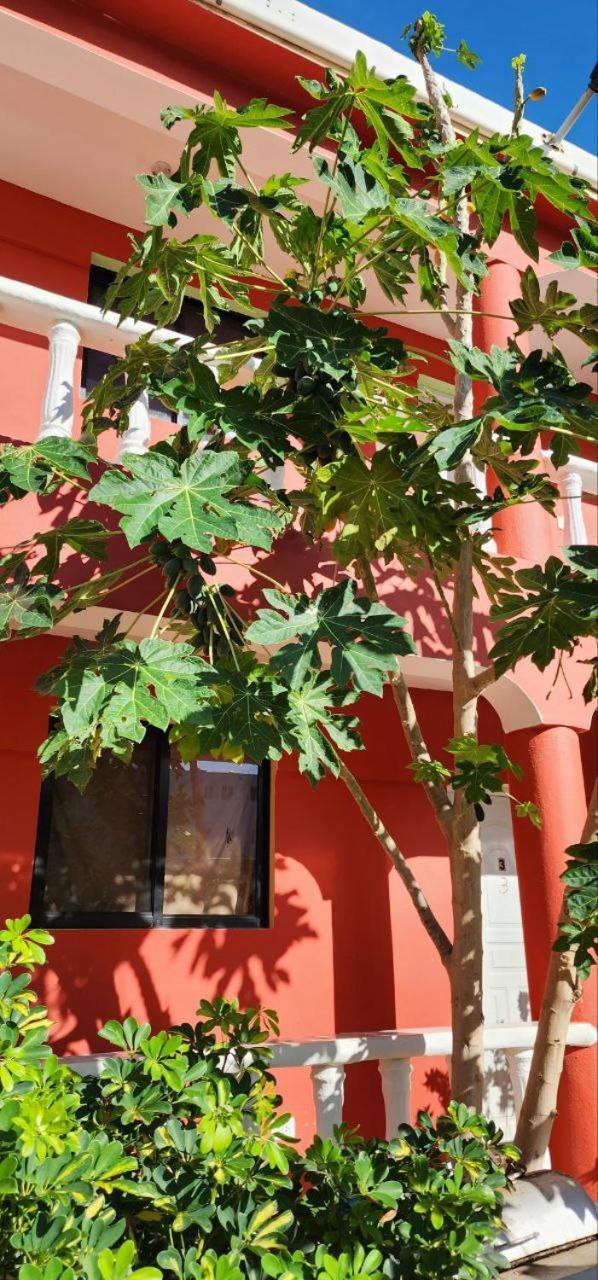 Villa Kiki Ensenada Punta Rucia Dış mekan fotoğraf