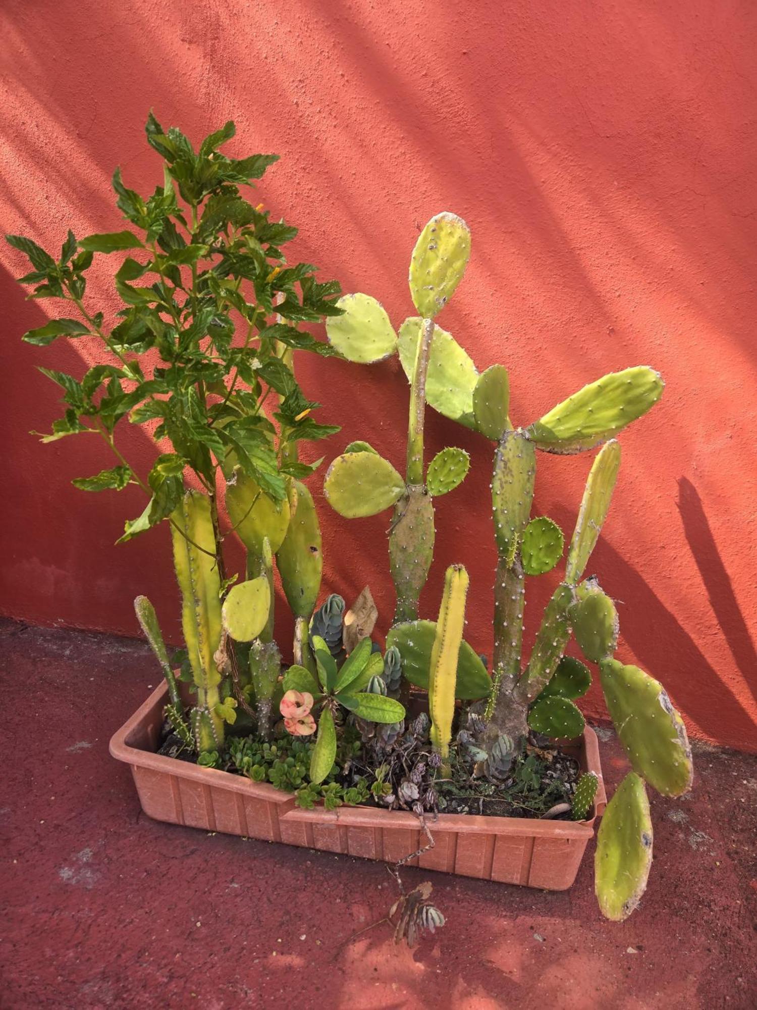 Villa Kiki Ensenada Punta Rucia Dış mekan fotoğraf